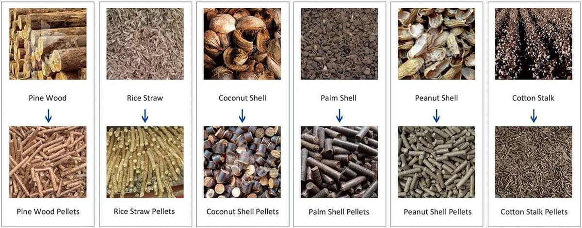 1-1.5T/H Pellet Production Line
