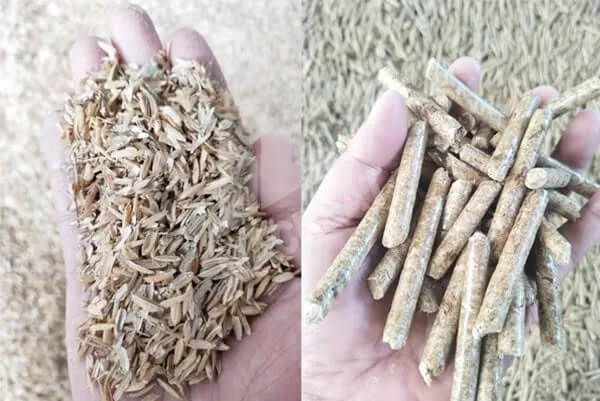Biomass Fuel Pellet Production with Rice Husk