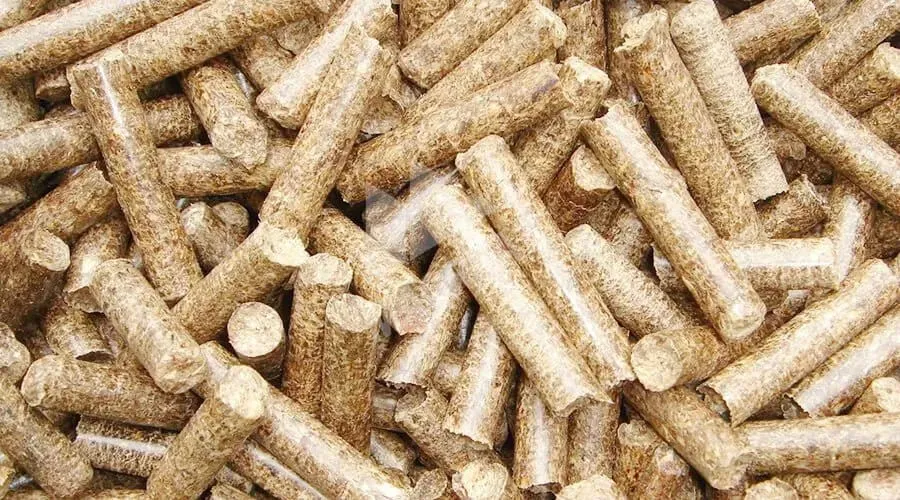 Pelleting Section