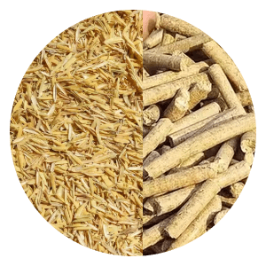 Biomass Fuel Pellet Production with Rice Husk