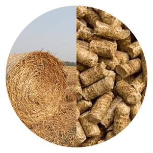 Straw Pelletizing Production Line